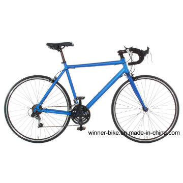 Alloy Frame Road Bicycle 700c Wheels with 14 Speeds